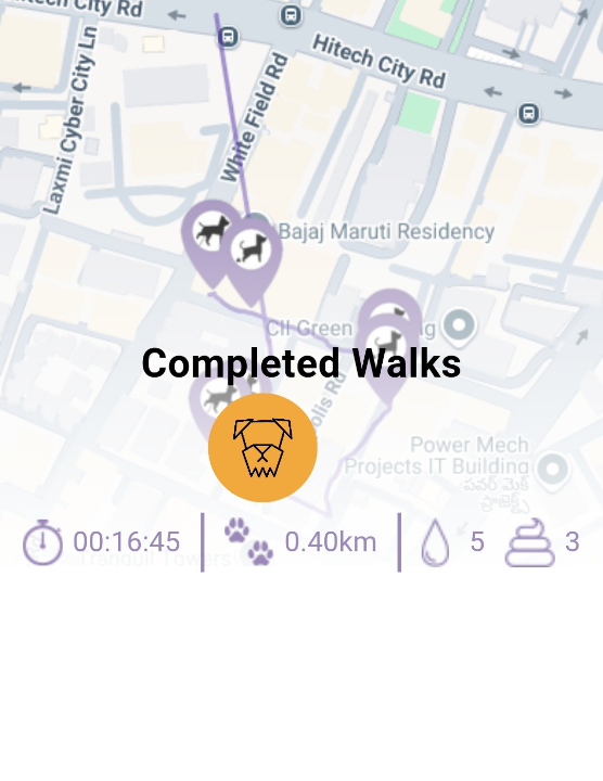 Dog Walking