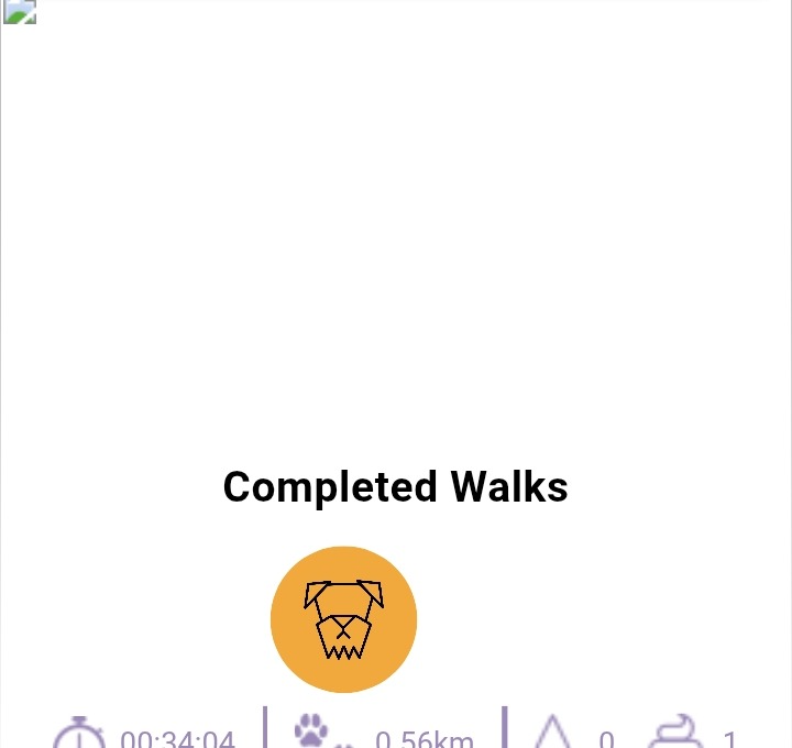 Dog Walking