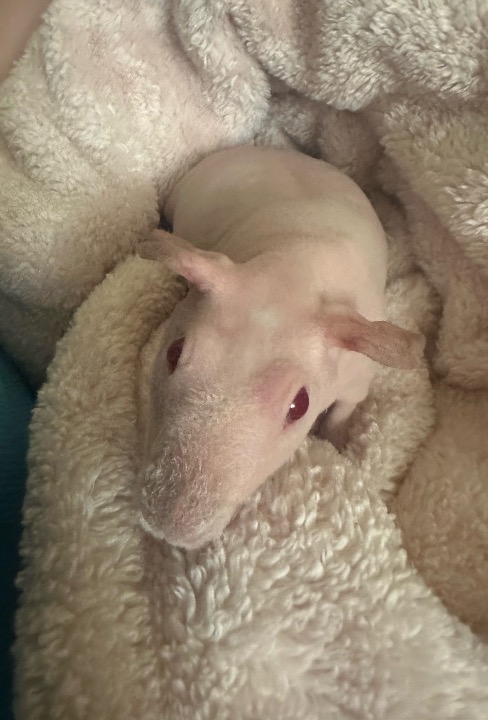 I’m obsessed with this girl, she is so gentle and vulnerable. 