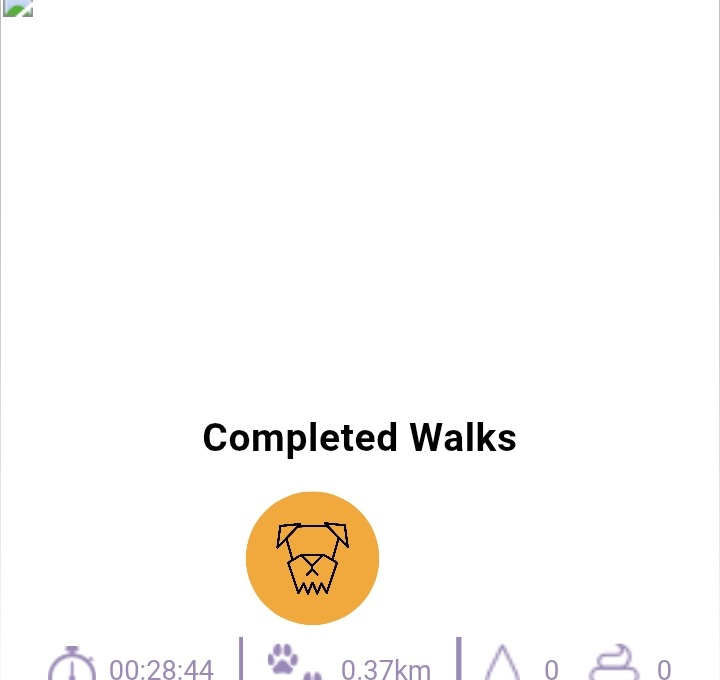 Dog Walking