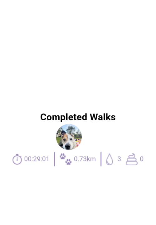 Dog Walking