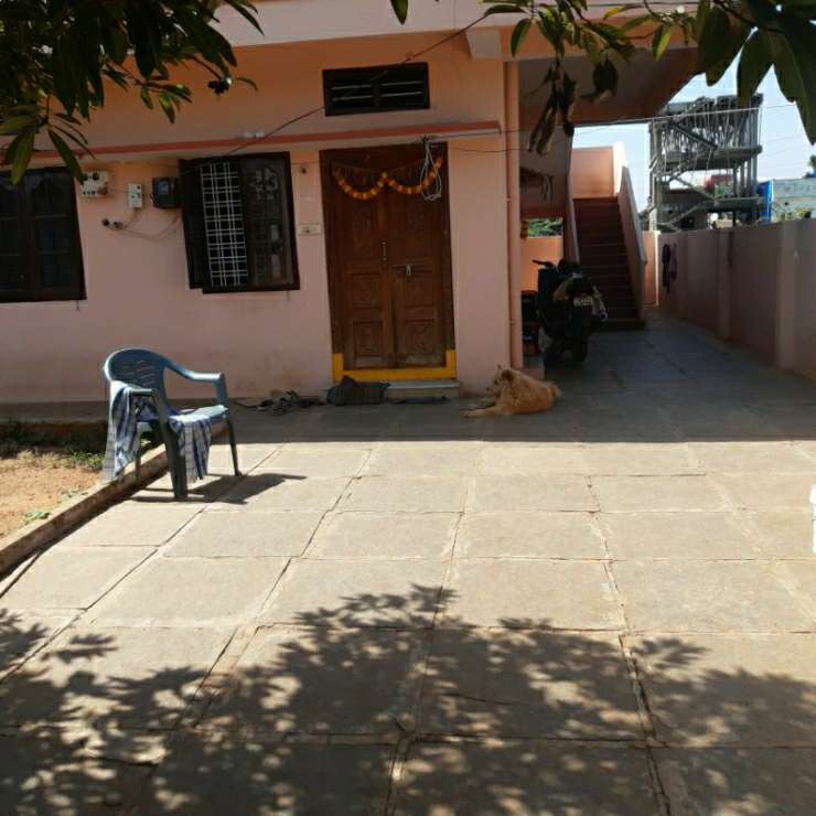 Top Dog Boarding in Hyderabad with Best Prices on PetBacker