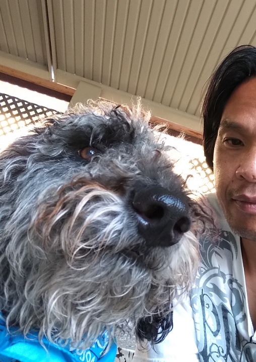 The 10 Best Pet Taxi Services Near Me (with Prices & Reviews)