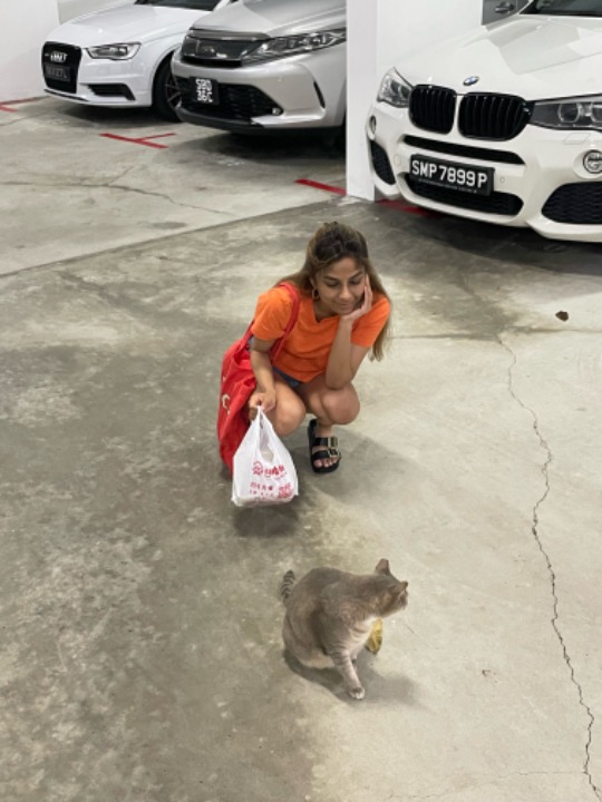 Top Paya Lebar Dog Walking Prices & Reviews PetBacker