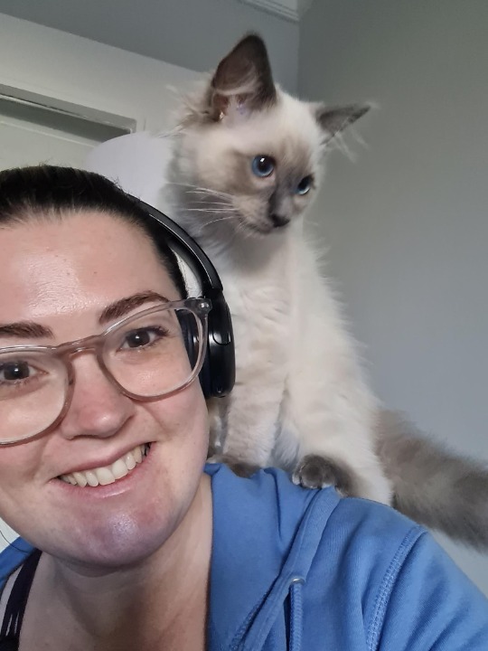 Top Dog Sitters in Lisburn with Best Prices on PetBacker