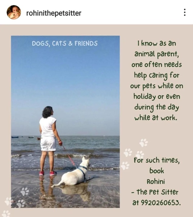 Boarding in Dombivli with Best Prices on PetBacker