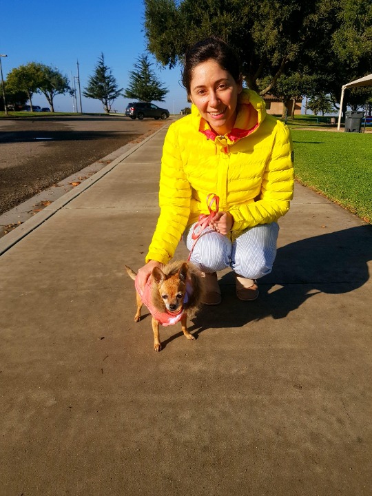 ร้อยเอ็ด Best Dog, Cat Boarding by Pet Sitters with Grooming, Training