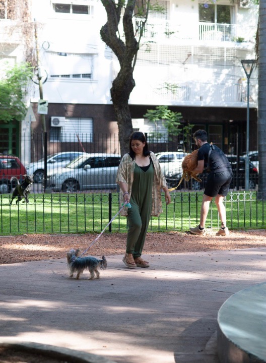 dog-walking-prices-reviews-petbacker