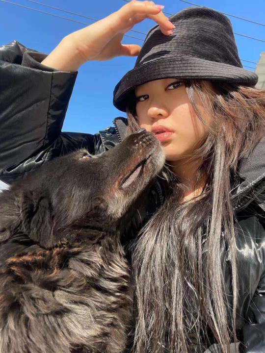 Hull Best Pet Boarding, Grooming for Dogs, Cats with Pickup PetBacker England