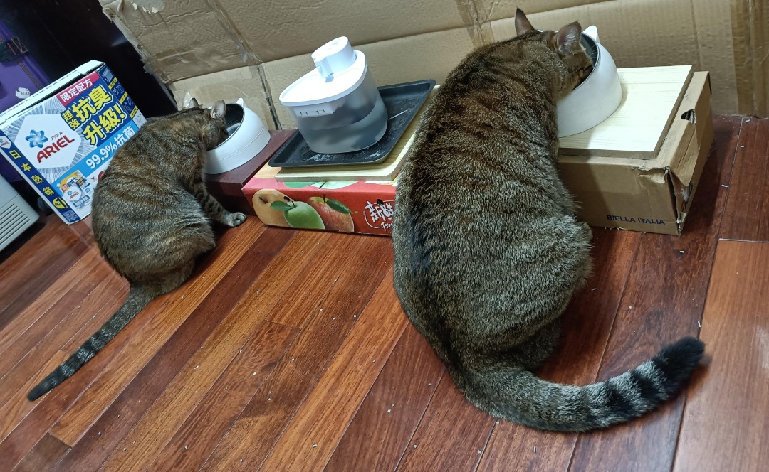 我在 PetBacker 完成了一次 到府寵物保姆 預訂！ 不用擔心陌生人，安心吃飯😍