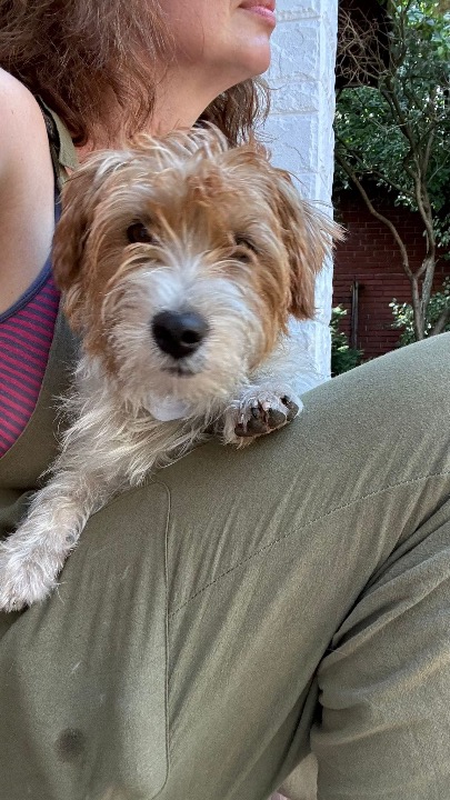 I've completed a Pet Care booking at PetBacker! Tito is the sweetest! We hope he comes back soon 🐾💕