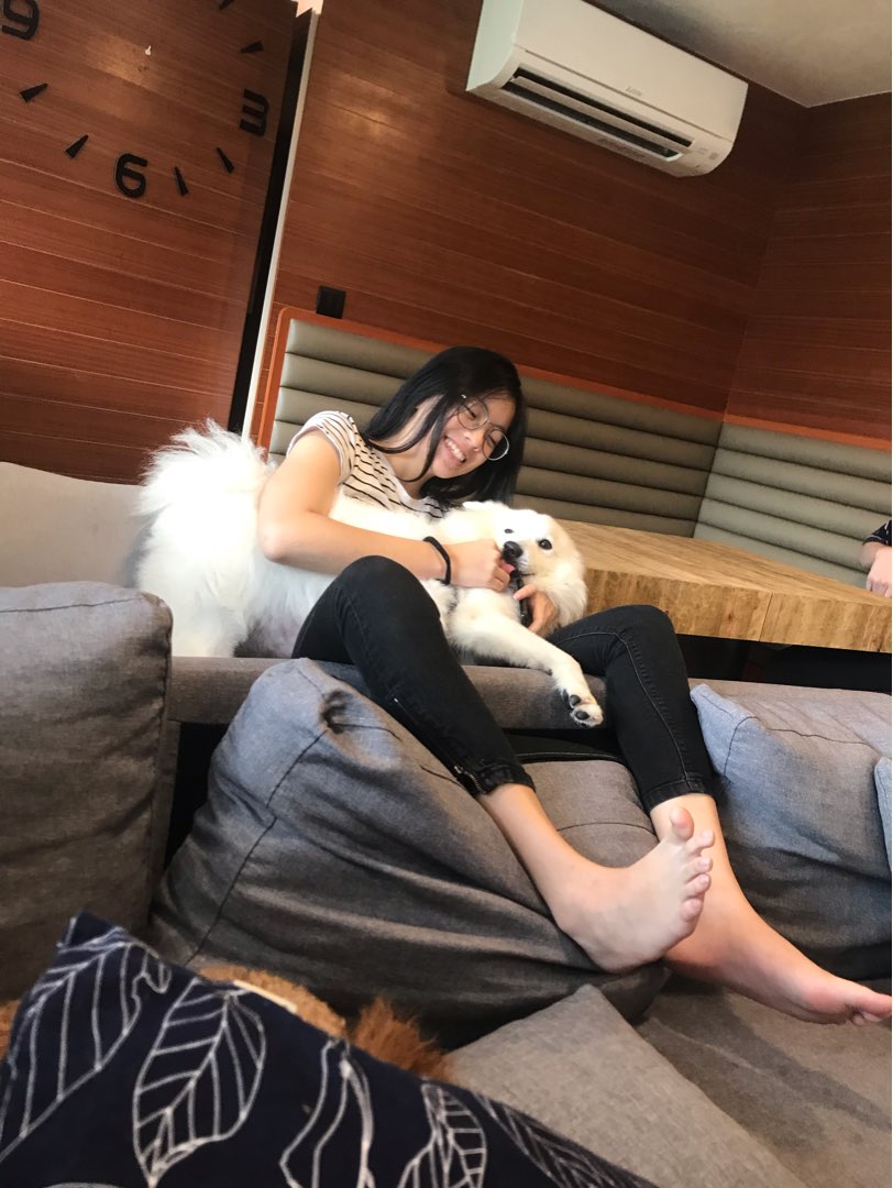 Top Pet Boarding in Singapore Insured on PetBacker