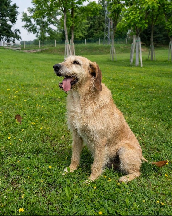 Top Roma Pet Sitters Prices & Reviews PetBacker