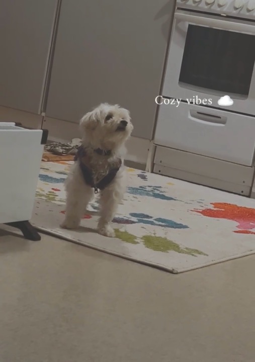 I've completed a Pet Care booking at PetBacker! It’s was always good 😊 