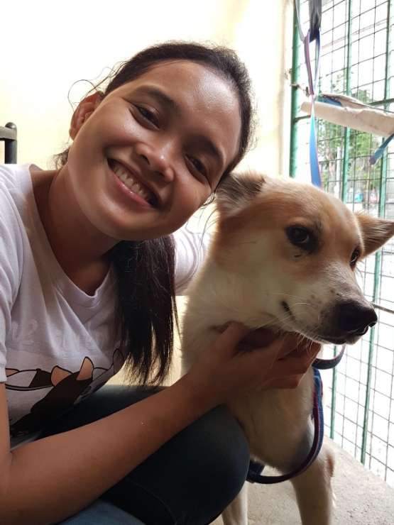 dog walker in my area