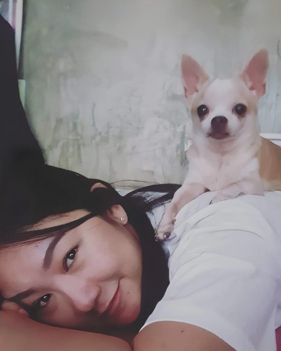 Underwood Best Pet Boarding, Grooming for Dogs, Cats with Pickup