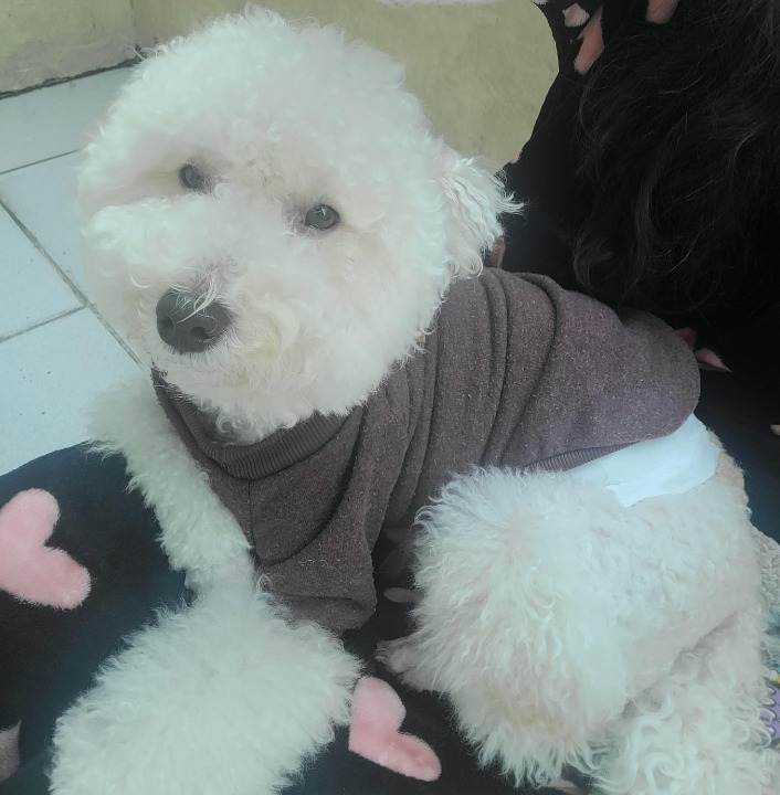 我在 PetBacker 完成了 寵物住宿寄養 服務！ 一開始很焦慮後面慢慢比較安定了，期待下次再服務喲！