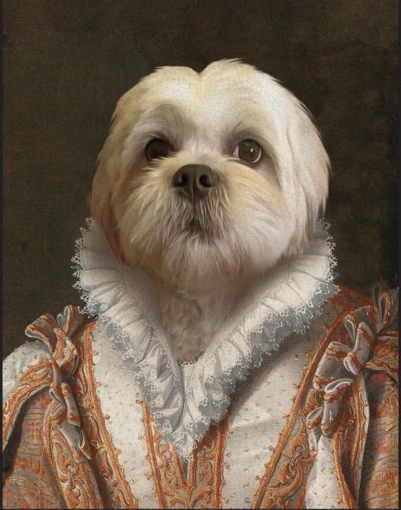 Top Chester Dog Walking Prices & Reviews PetBacker