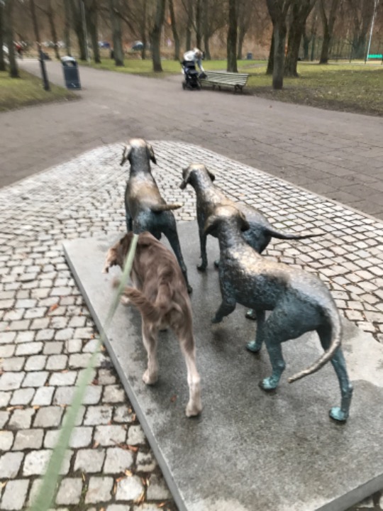 Walking at Vilnius by PetBacker Senamiestis,naujamiestis - Mūsu Pasivaikščiojimu Vieta