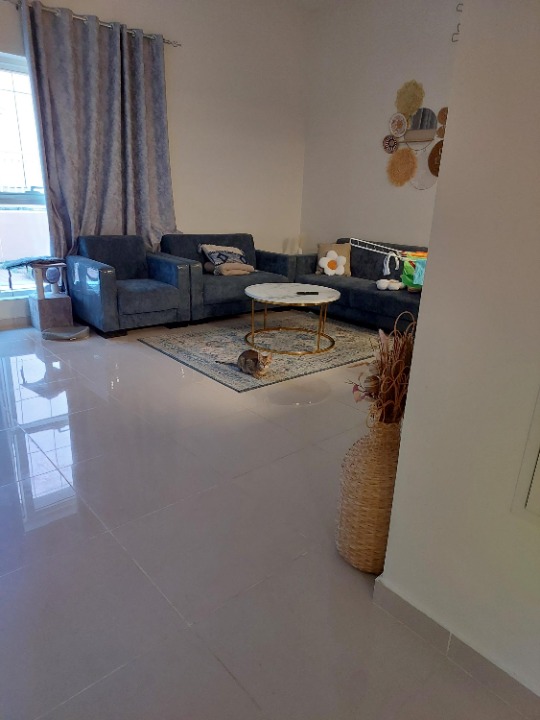 Ajman Best Pet Boarding, Grooming and Pet Sitters Near Me PetBacker United Arab Emirates