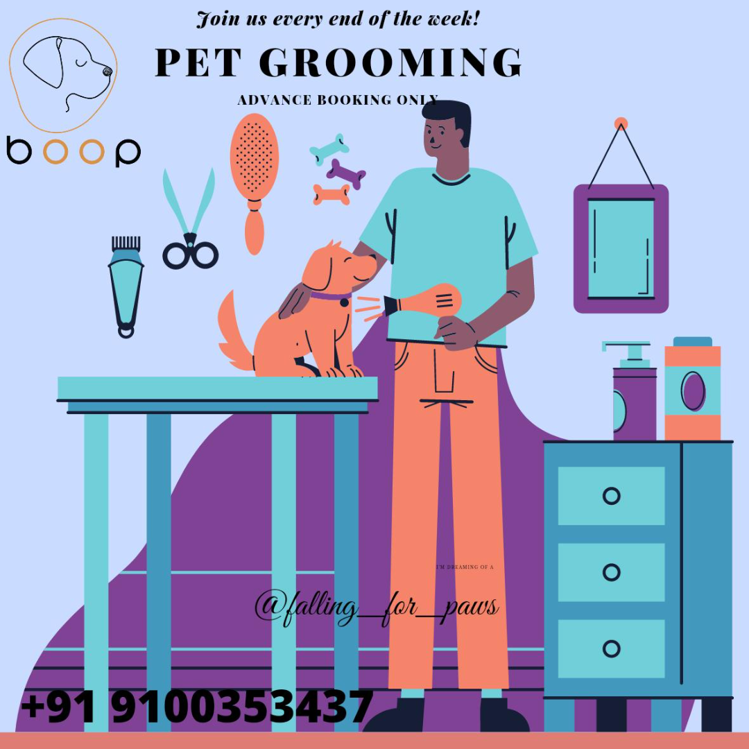 Top Pet Grooming in Hyderabad with Best Prices on PetBacker