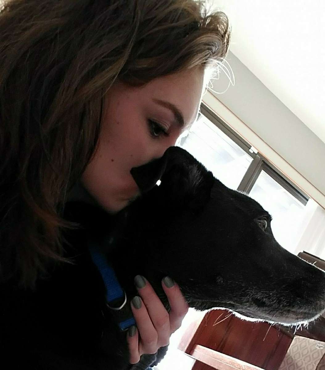 Lehigh Acres Best Pet Boarding, Grooming for Dogs, Cats with Pickup PetBacker Florida