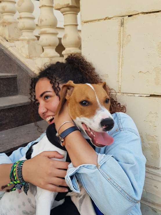 Ħ Attard Best Pet Boarding, Grooming for Dogs, Cats with Pickup