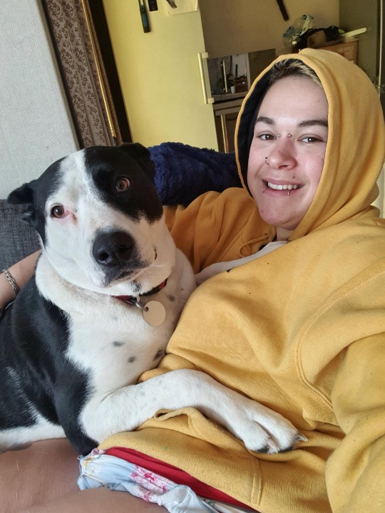 álora Best Pet Boarding, Grooming for Dogs, Cats with Pickup