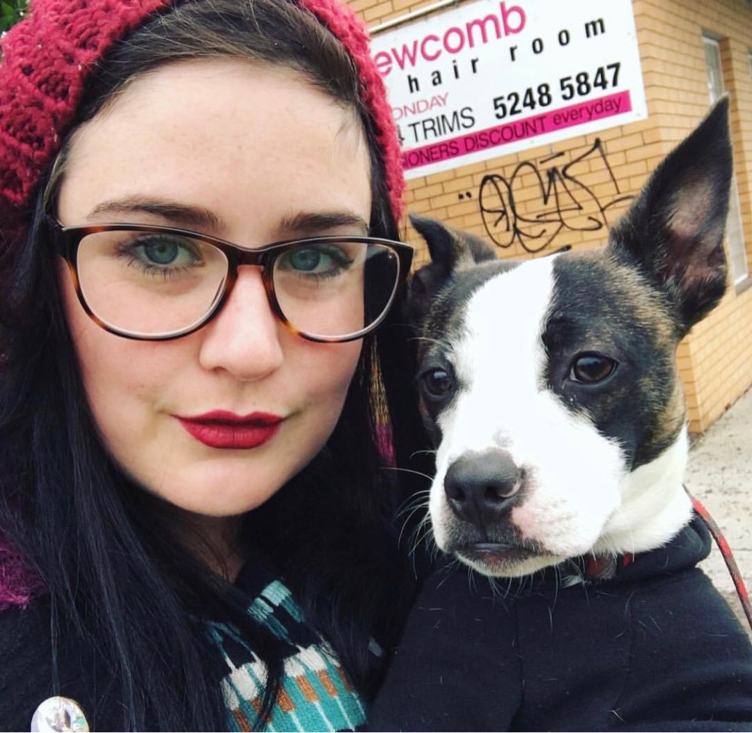 Top Doggy Daycare in Geelong with Best Prices on PetBacker