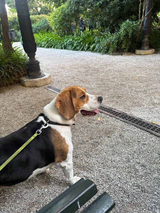 I've completed a Pet Care booking at PetBacker! cutest