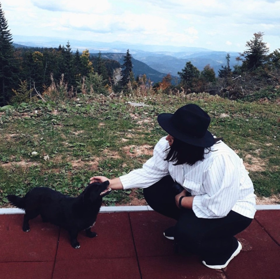 Top empfohlene Hunde Unterbringung in Margareten