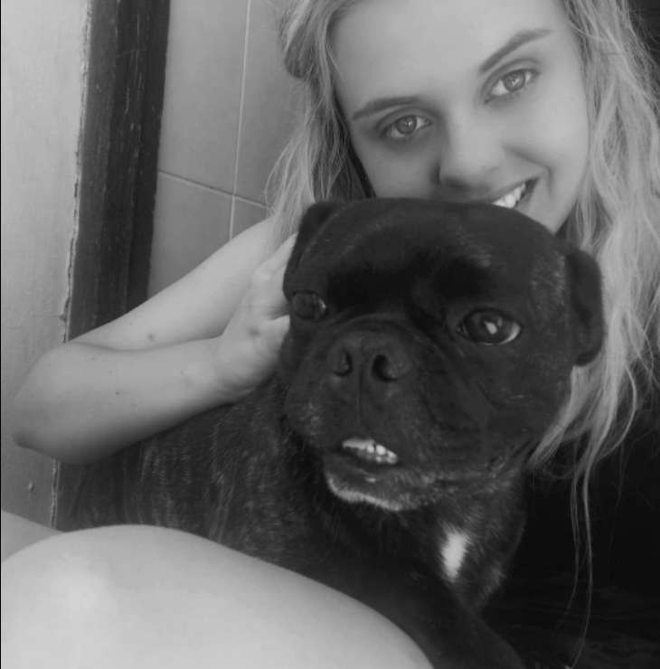 Potchefstroom Best Pet Boarding, Grooming for Dogs, Cats with Pickup