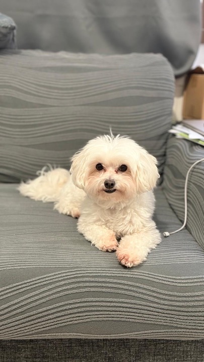 I've completed a Pet Care booking at PetBacker! It’s was always good with her 😍😍