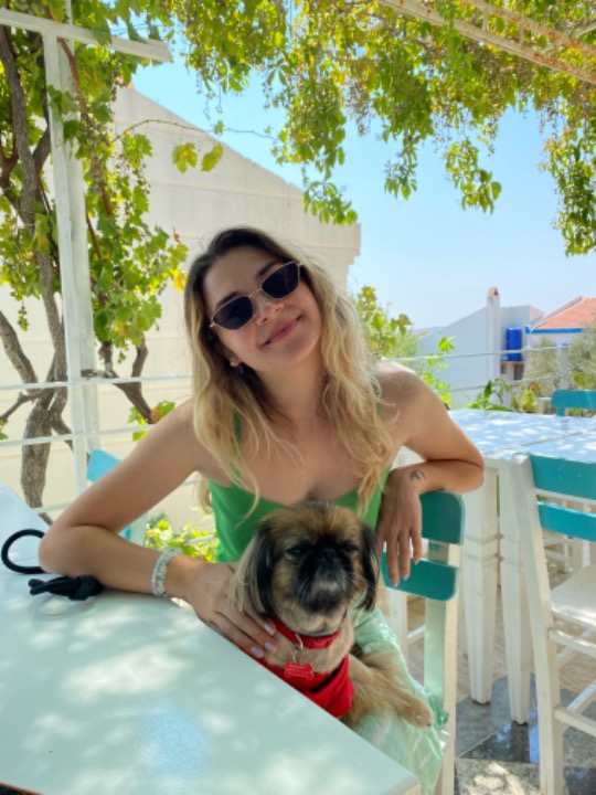 Top Dog Walking in Stockwood with Best Prices on PetBacker