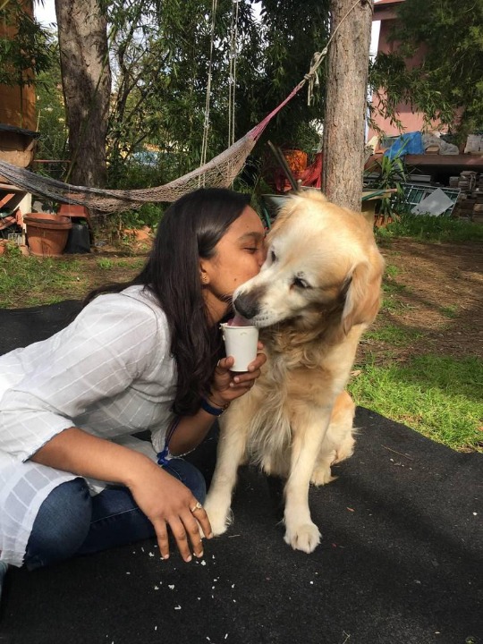 สระบุรี Dog Sitters Prices & Reviews PetBacker