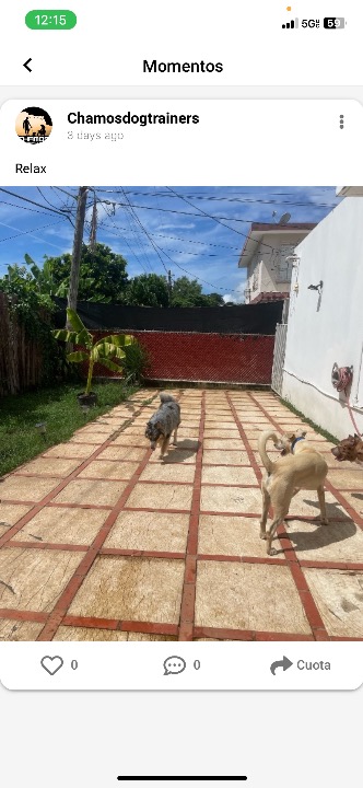 ¡He completado una reserva de Cuidado de Mascotas en PetBacker! Un perrito muy dulce e inteligente 😘😘