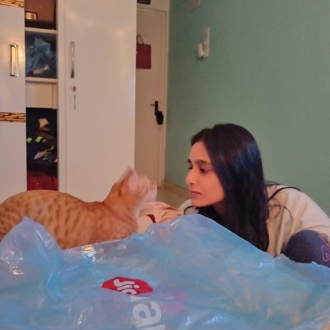 Top Cat Boarding in Andheri East with Best Prices on PetBacker