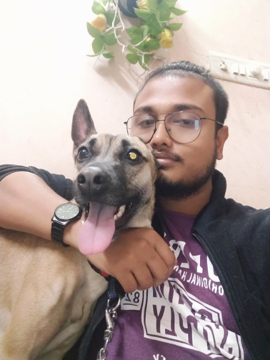 Dog Boarding in Bengaluru with Best Prices on PetBacker