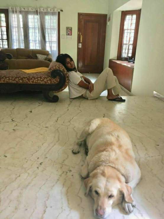 Dog Boarding in Bengaluru with Best Prices on PetBacker