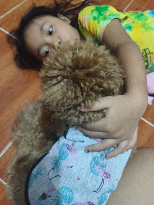 Top Dog Boarding in Manila with Best Prices on PetBacker