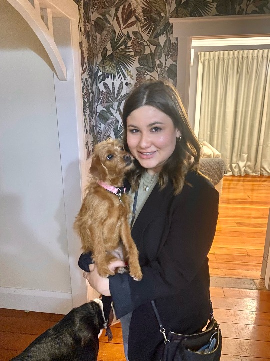 Top Dog Boarding in Featherston with Best Prices on PetBacker