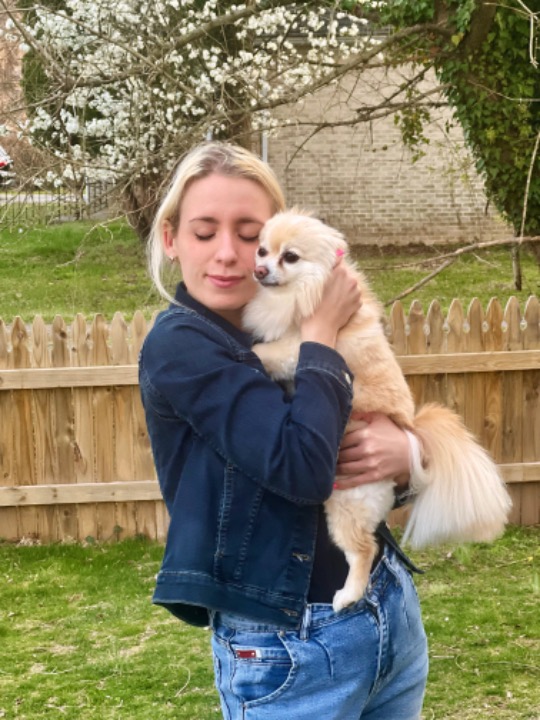 Top Doggy Daycare in Waldorf with Best Prices on PetBacker