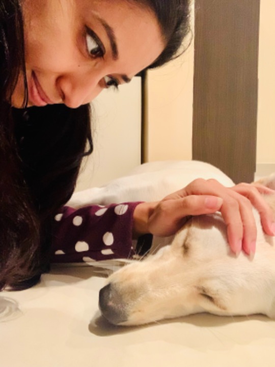 Dubai Dog Walking Prices & Reviews PetBacker