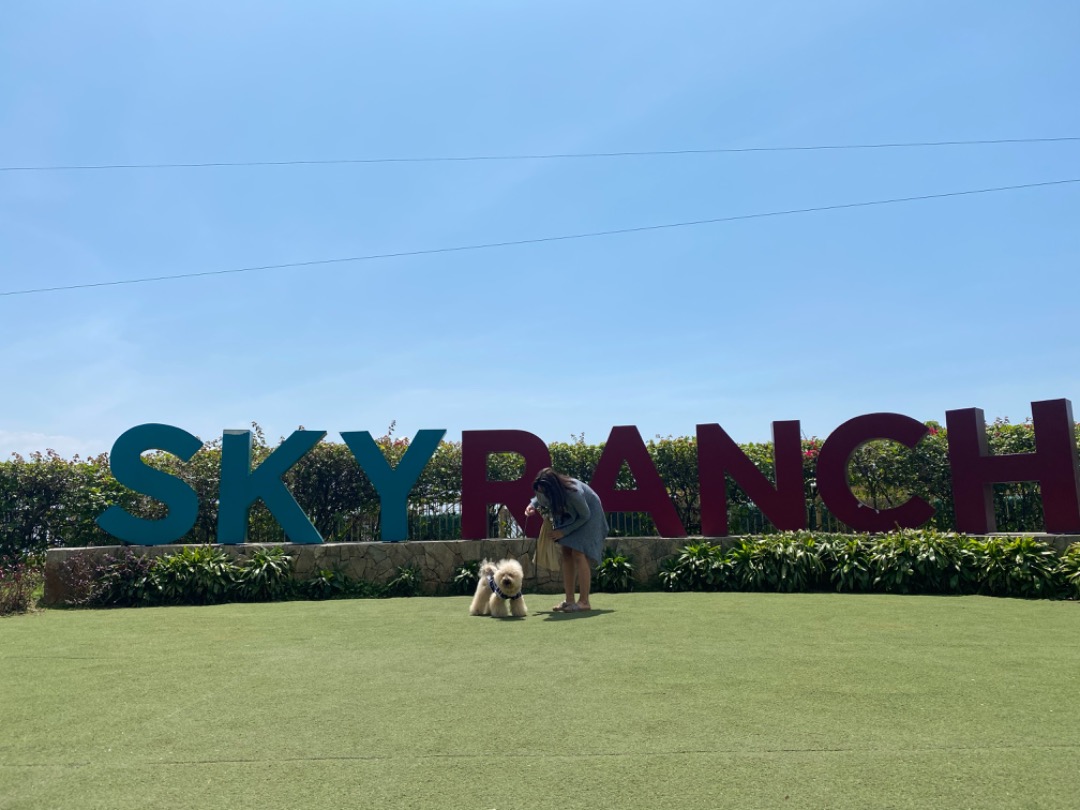 Dog Walking in Quezon City with Best Prices on PetBacker