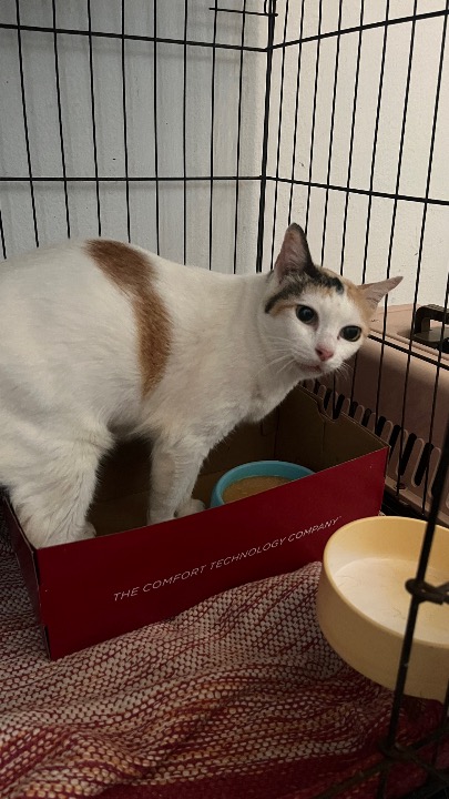 I've completed a Pet Care booking at PetBacker! Thank youu