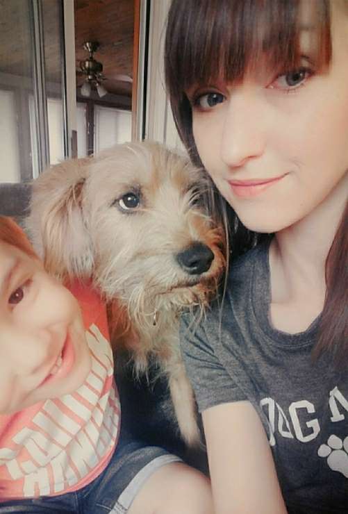 Bay City Best Pet Boarding, Grooming for Dogs, Cats with Pickup