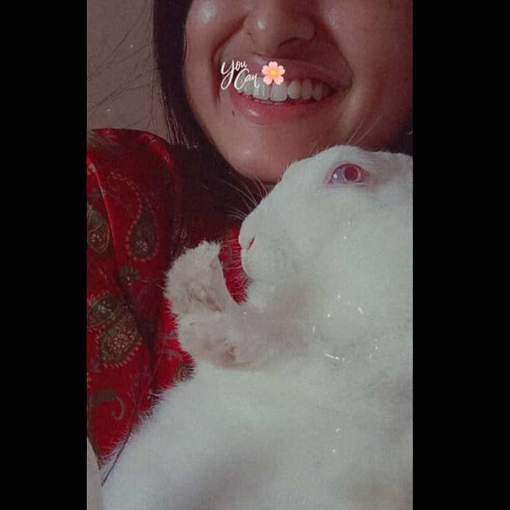 Pet Boarding in Chennai with Best Prices on PetBacker