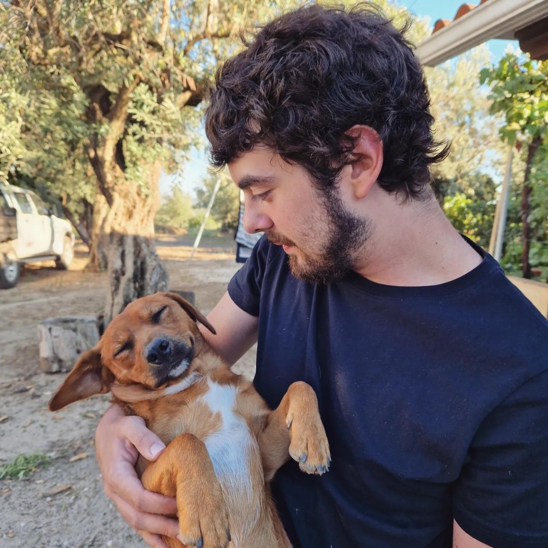 ประจวบคีรีขันธ์ Best Pet Boarding, Grooming and Pet Sitters Near Me