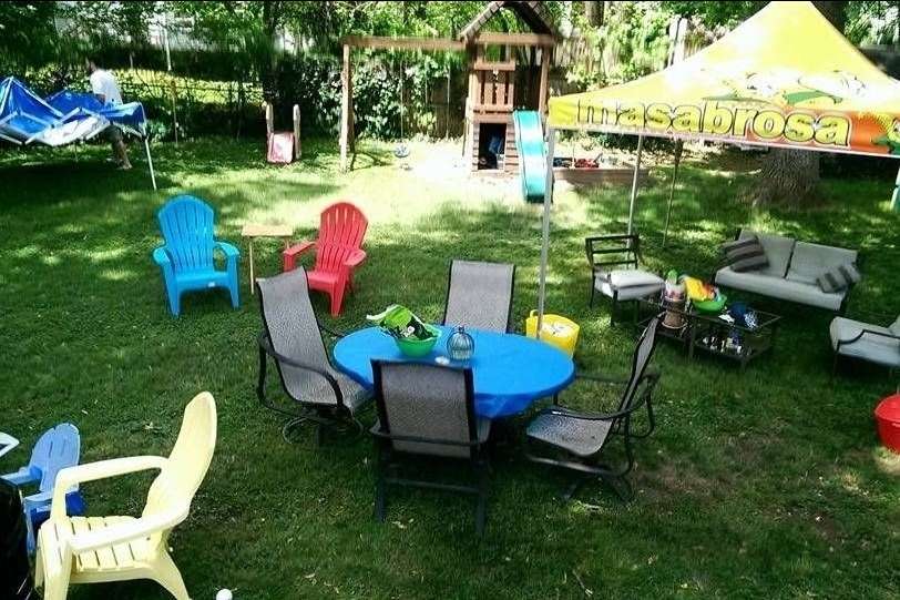 The 10 Best Guinea Pig Daycare Services Near Me (with Prices & Reviews)