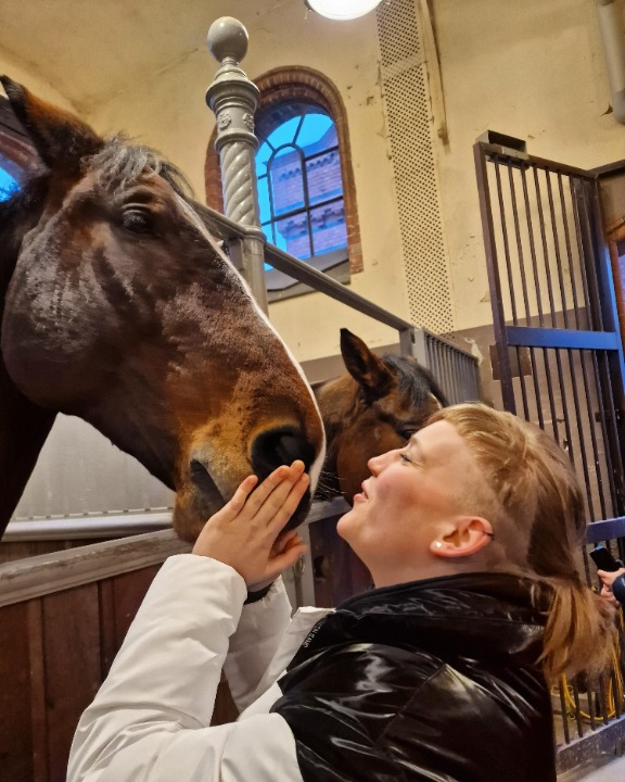 The 10 Best Reptile Sitters Services Near Me (with Prices & Reviews)